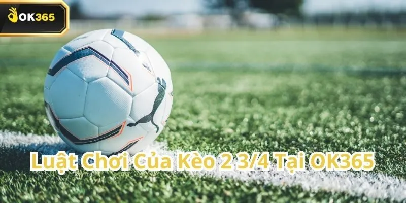 Kèo 2 3/4 tại OK365 – Hiểu rõ để tăng tỷ lệ thắng 2 Kèo 2 3/4