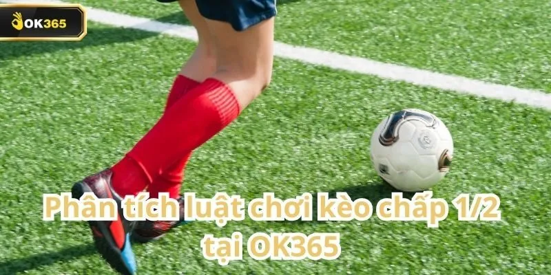 Kèo chấp 1/2 tại OK365 – Tỷ lệ hấp dẫn, cơ hội thắng cao 2 Kèo chấp 1/2