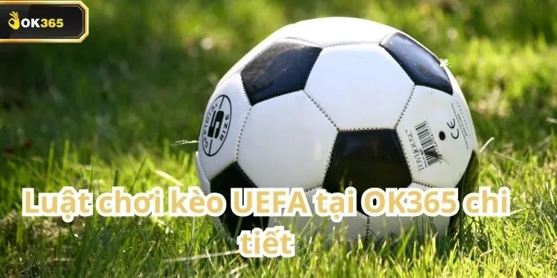 Kèo UEFA tại OK365 – Lựa chọn hàng đầu trong mùa giải châu Âu 2 Kèo UEFA