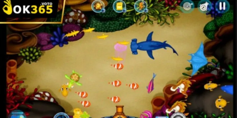 Askme Treasure of Pirate - Luật chơi, hướng dẫn và kinh nghiệm từ Ok365 1 Cách game Askme Treasure of Pirate vận hành